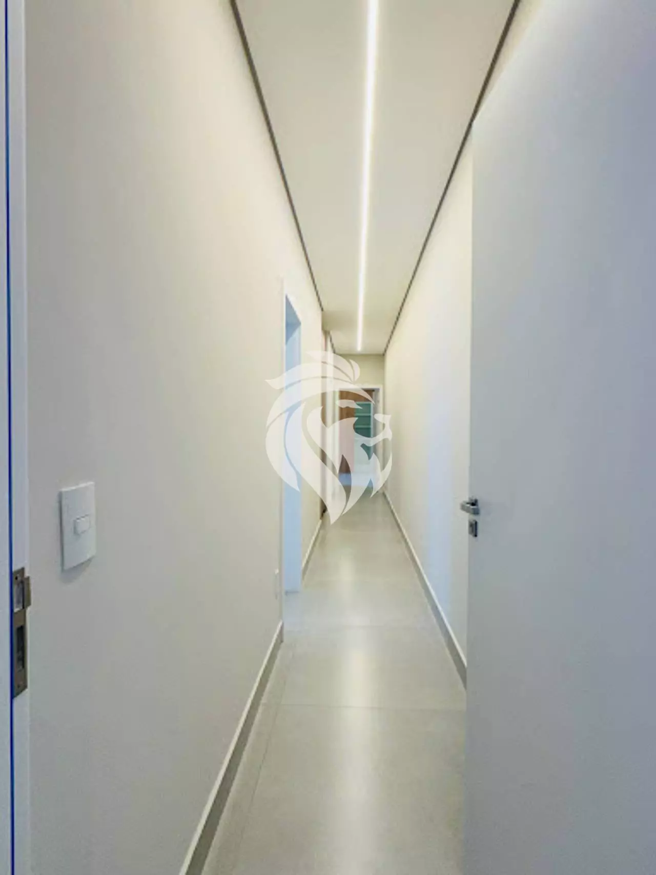 Imagem 11