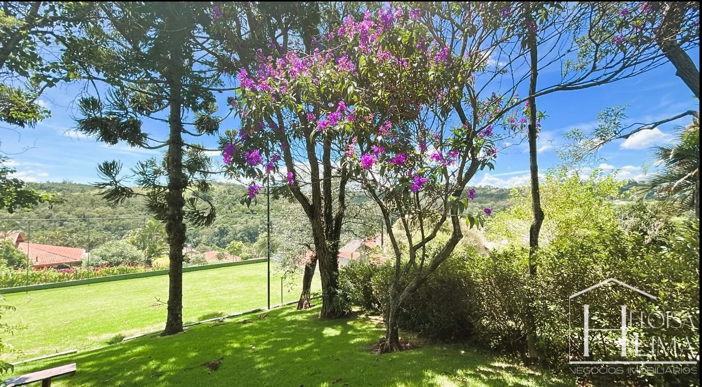 Imagem 7