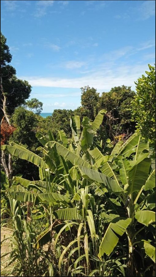 Área para Venda, Porto Seguro / BA em Porto Seguro/BA