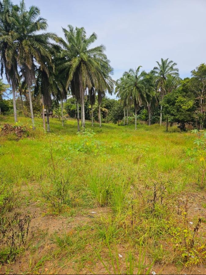Terreno amplo com 6.000 m² em Trancoso, ideal para projeto de alto padrão ou investimento em Porto Seguro/BA